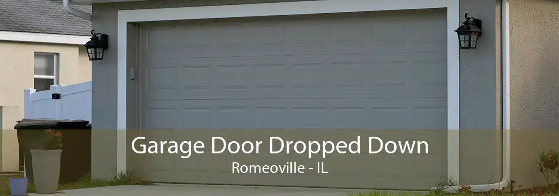 Garage Door Dropped Down Romeoville - IL