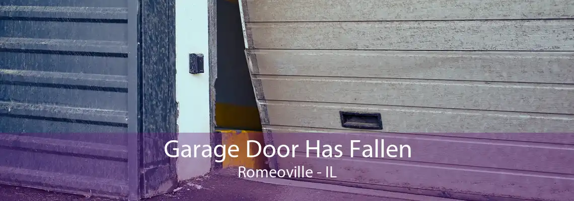 Garage Door Has Fallen Romeoville - IL