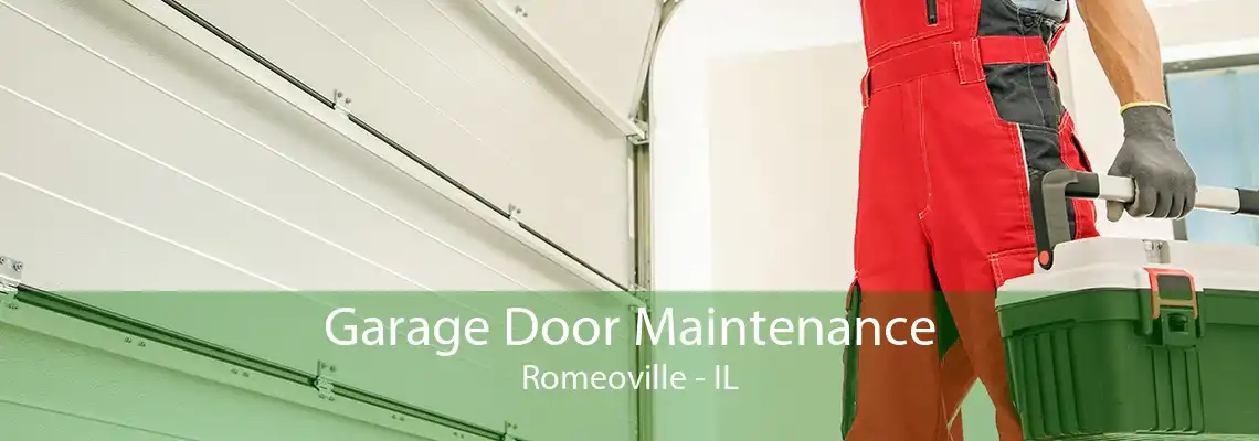 Garage Door Maintenance Romeoville - IL