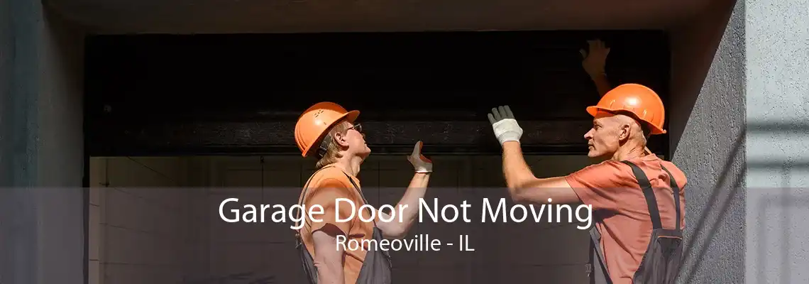 Garage Door Not Moving Romeoville - IL