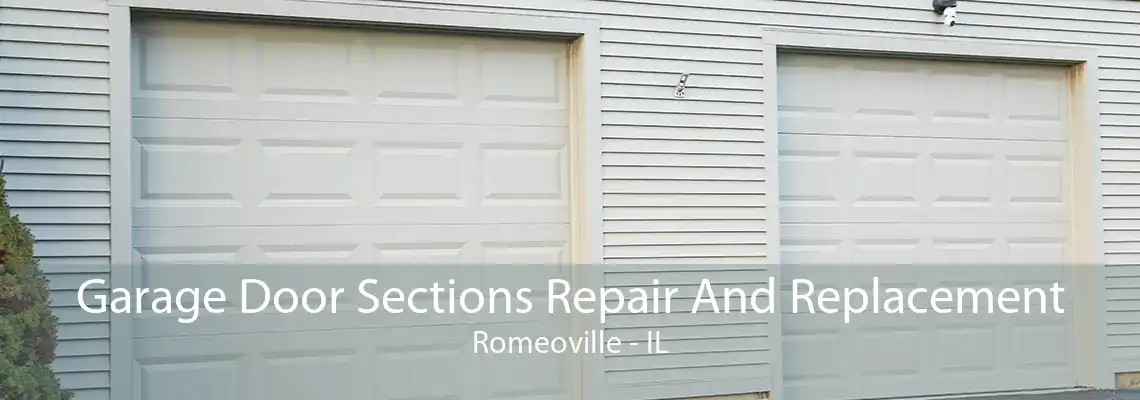 Garage Door Sections Repair And Replacement Romeoville - IL