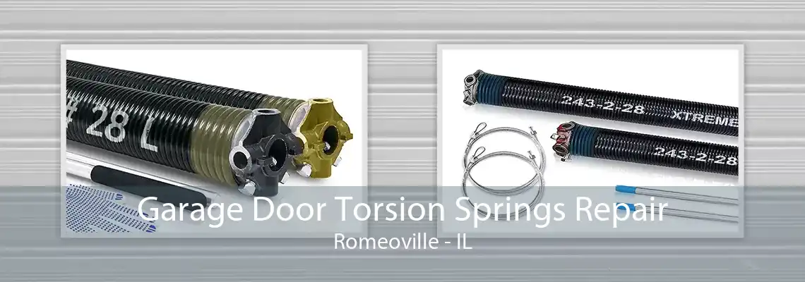 Garage Door Torsion Springs Repair Romeoville - IL