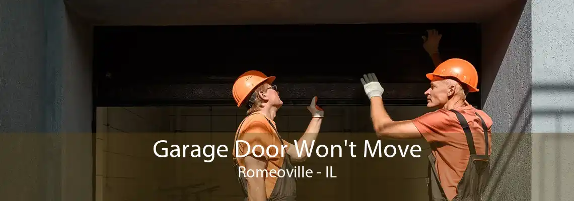 Garage Door Won't Move Romeoville - IL